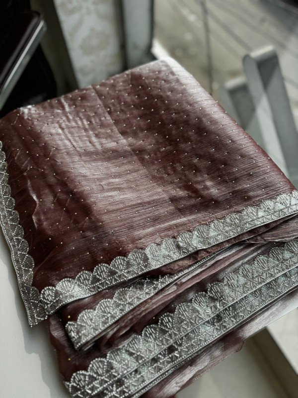Tissue organza saree