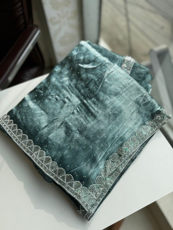 Tissue organza saree