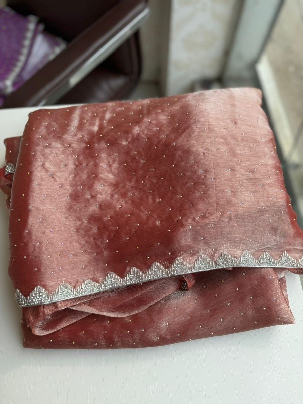 Tissue organza saree